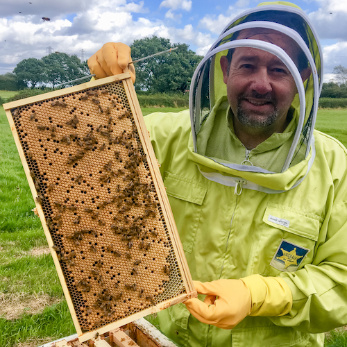 Steve Donohoe with a brood frame