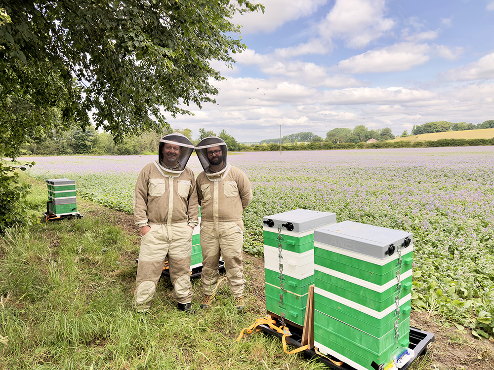 Two beekeepers standing beside bee hives on a field of borage